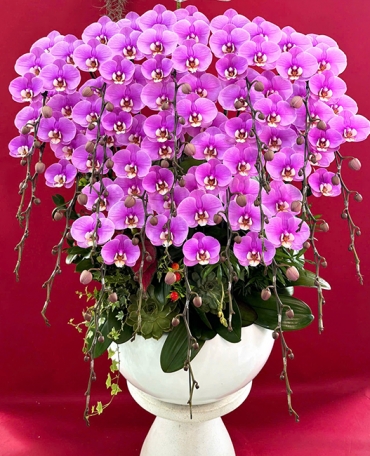 shop hoa tuoi phuong buon ho dak lak dien hoa chuyen nghiep 24 7
