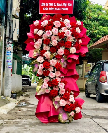 shop hoa tuoi phuong song cau dak lak dien hoa chuyen nghiep gia tot