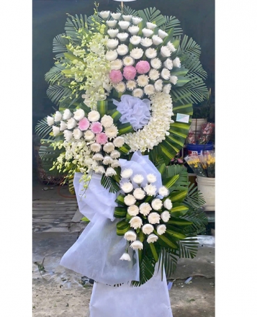 shop hoa tuoi xa tuy an nam dak lak hoa dep giao tan noi