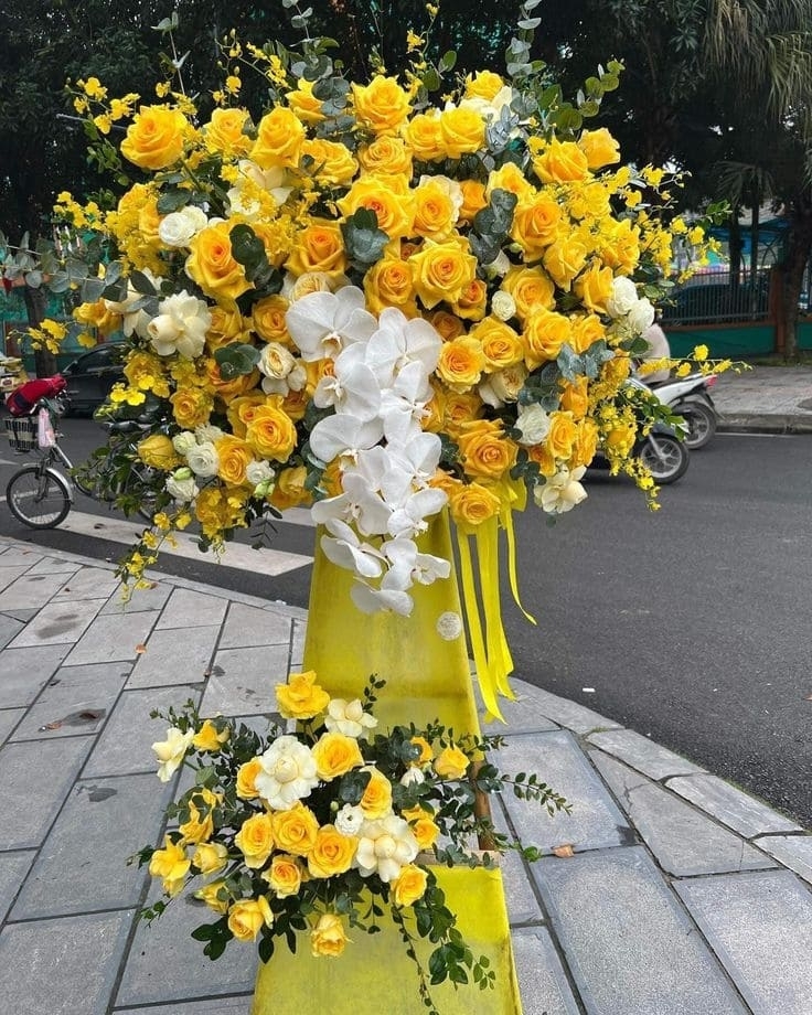 hoa khai truong
