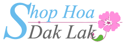 Shop Hoa Dak Lak
