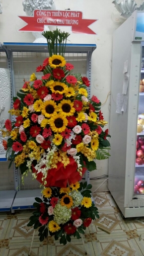 dai loi