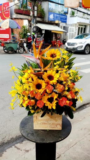 vuon toi thanh cong