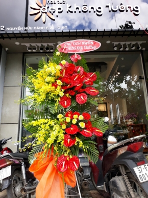 hoa khai truong