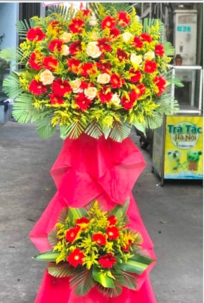 hoa khai truong loc phat