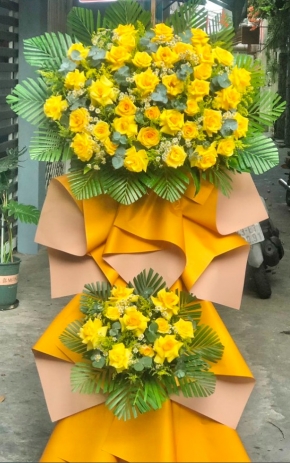 hoa khai truong thanh cong vuot troi