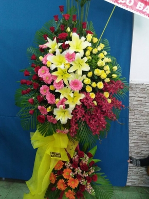 khai truong van loc