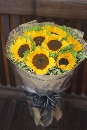 hoa huong duong toa nang
