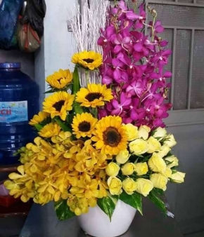 ngay vinh quang