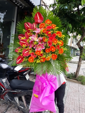 phat trien vung manh