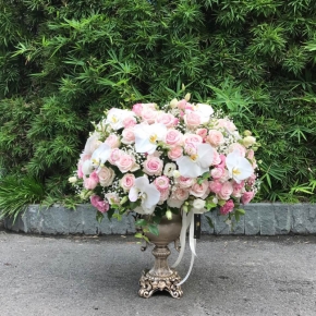 rose rapture