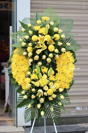 thuong tiec