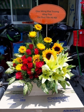 yeu thuong dong day