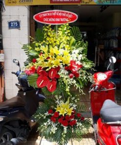 Mã Đáo Thành Công 