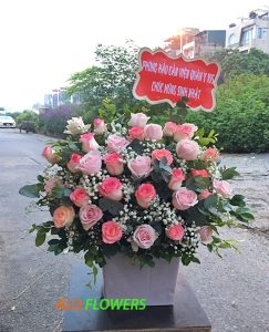 Nhà xe Đắk Lắk đi Cà Mau