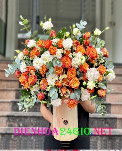 Xe Đắk Lắk đi Trà Vinh