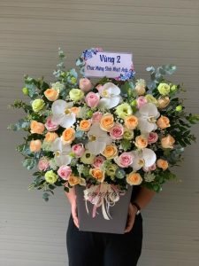 {chudeshop} {diadiem}