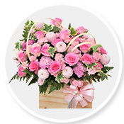 Shop Hoa Tuoi dak lak