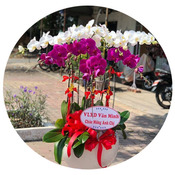 Shop Hoa Tuoi dak lak